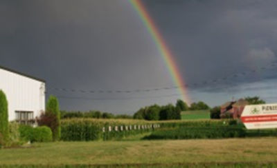 Pioneer History 2001